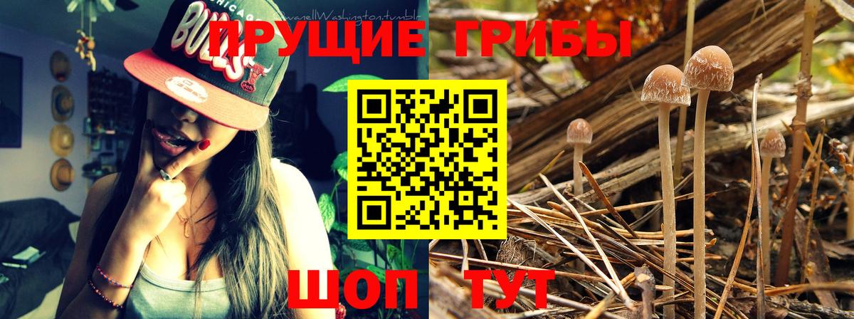 Галлюциногенные грибы мицелий  Вход с VPN  Кострома 