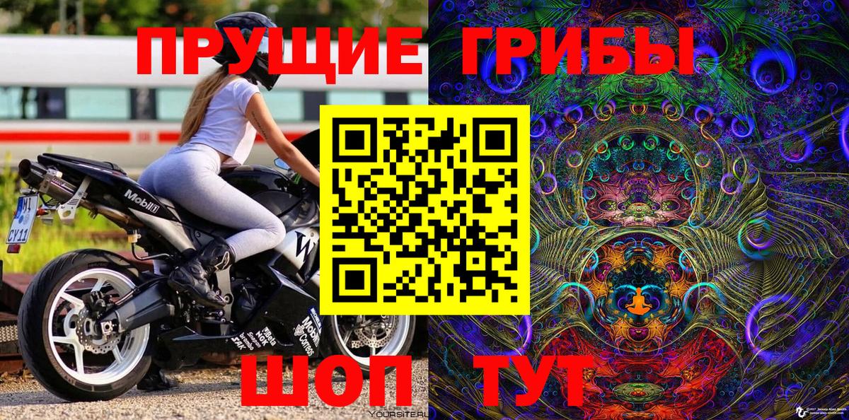 Псилоцибиновые грибы Psilocybine cubensis Кострома