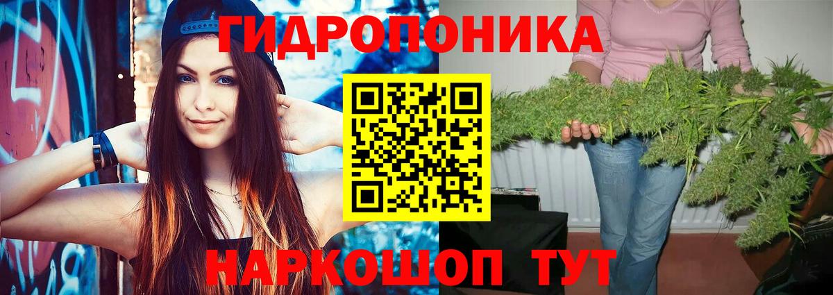 Конопля OG Kush  Конопля AK-47  Кострома  Вход с VPN  МАРИХУАНА ГИДРОПОН 